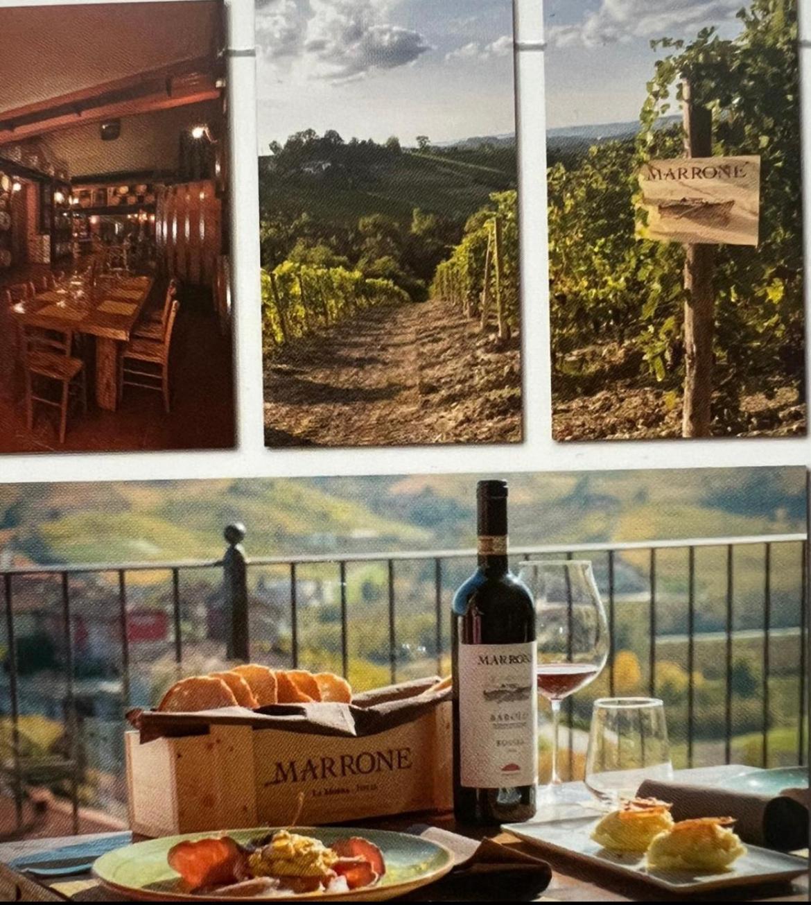 Agriturismo Da Mamma 알바 외부 사진