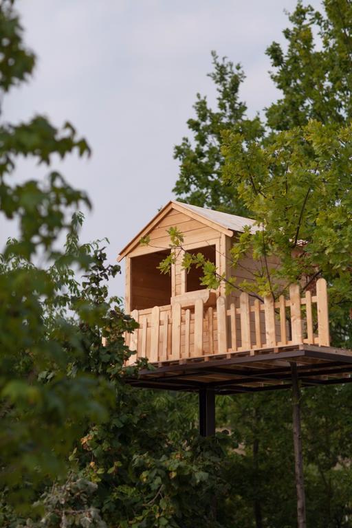 Agriturismo Da Mamma 알바 외부 사진