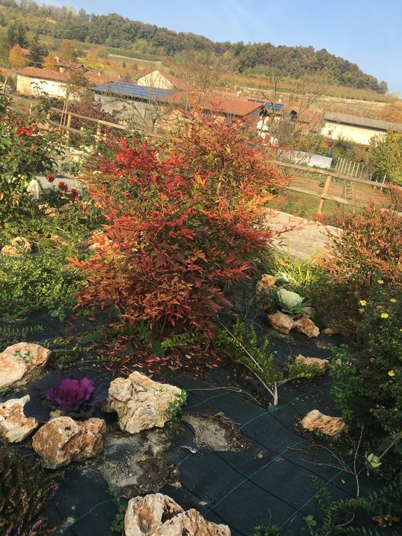 Agriturismo Da Mamma 알바 외부 사진