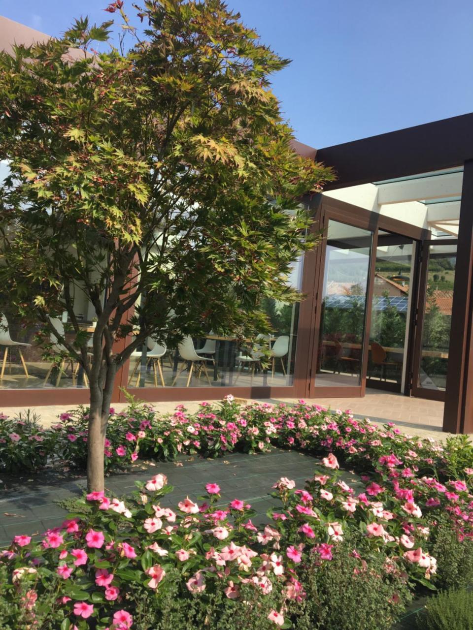 Agriturismo Da Mamma 알바 외부 사진