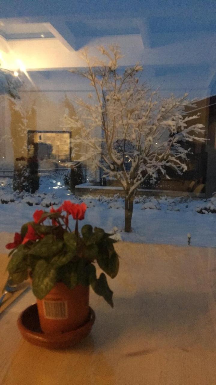 Agriturismo Da Mamma 알바 외부 사진