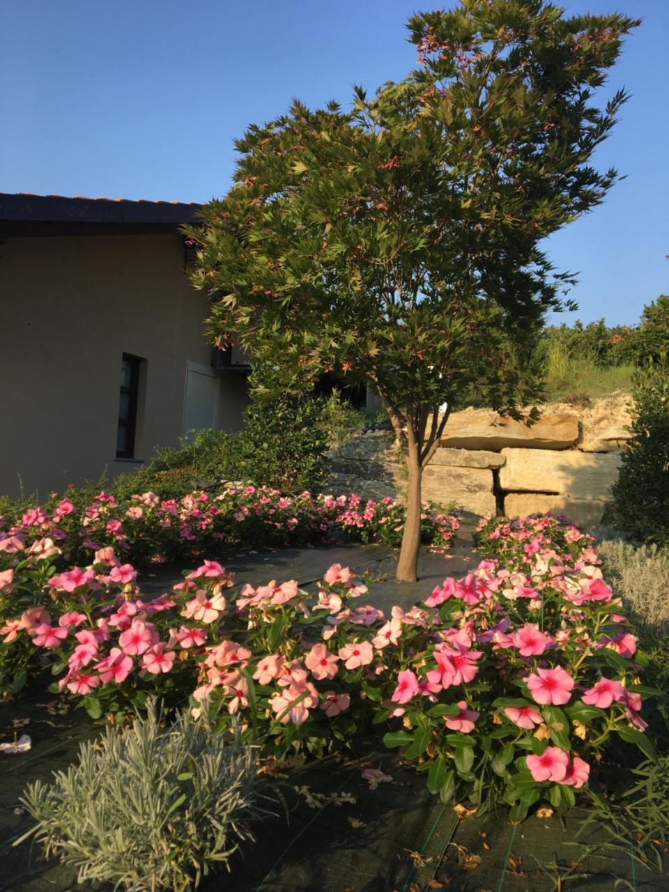 Agriturismo Da Mamma 알바 외부 사진