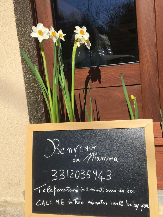 Agriturismo Da Mamma 알바 외부 사진